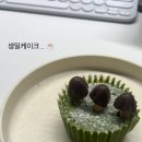 보카봇 이미지
