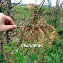 24호선 국도변 이미지