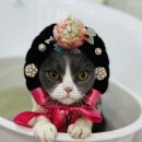 [쏘일상] 겨울을 느끼며 ISFP여자 집순이인데 자주 돌아다니는 얼굴 완전 루돌프