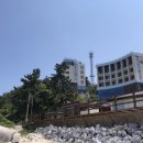 영동농협 하늘과바다사이 | 강원도 인구 하늘과 바다사이 카페