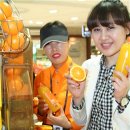 롯데백화점포항점