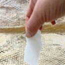 화수육계 이미지