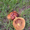 황소환경자원 이미지