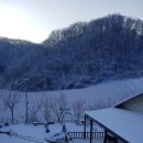 석달열흘가리 이미지