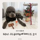 우드네 | 강아지 브러쉬 추천ㅣ웨거스 프리미엄우드 슬리커 &amp; 베티버 모이스처 미스트 사용 후기