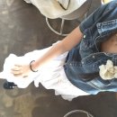 세빈목장 이미지