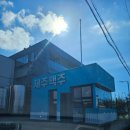 제주명과 | 제주도 제주맥주 양조장 투어 후기