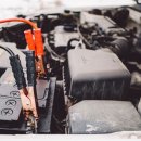 애니카랜드 서구점 이미지