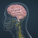 퓨어필라테스 이미지