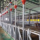 지정농장 이미지