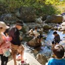 조강농장 이미지