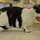 한빛동물병원 이미지