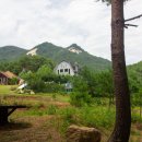 청유 | 강릉 감성숙소 청유 후기 | 숲속에서 보낸 힐링 하루🍃