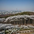 씨유 서울숲한신더휴점 | 서울숲한신더휴 완벽 분석: 누수부터 시세, 임장기까지