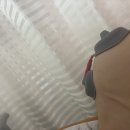 제창한의원 네이버블로그
