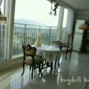 복돌이네 이미지