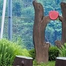 야탑2동 주민센터 이미지