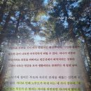 꼴이네일 | 노후 수업 책 | 박중언 책 후기 | 자식들의 손 벌림이 꼴도 보기 싫은 이유 추천 리뷰 핵심 요약
