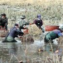 가래치기 이미지