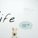 푸른원목 네이버블로그
