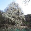 진천농장 이미지