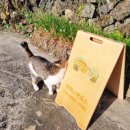 아이니하우스 | 아이니하우스 손님후기 😀