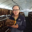 한여울농장 이미지