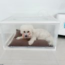강아지 산소방, 오투맥스 산소호흡기 산소마스크 후기