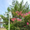 경포별빛연가 이미지