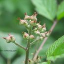 종복농장 이미지