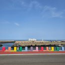 별방진 | 제주 별방진 성산 유채꽃 재배단지 섭지코지 후기｜3월말 제주 꽃여행 코스 (주차, 입장료 정보)