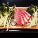 이가참치 이미지