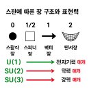 **중력의 힘이 가장 약한데 왜 스핀값은 가장 클까? 이미지