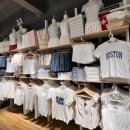 멜빌