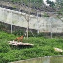 국립공원공단 국립공원연구원 북부보전센터 네이버블로그