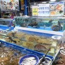 UR(화성시)-[서해로]-상-1 | 궁평항 수산시장 애견동반 식당 대하구이, 회 강아지와 함께 간 후기