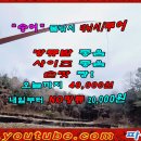 은현피싱타운 이미지