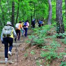 무봉산둘레길 이미지