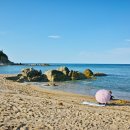 김영철공인중개사사무소 이미지