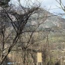 화순 글램핑 더블데이트 추천장소 -🎥감성스테이 자연의 미학