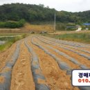 봉소2리마을회관 이미지