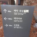 곡성-038 티스토리