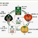 소금 부족시 질병의 원인이 된다? 소금 섭취 부족시 나타나는 증상 이미지