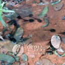 이사간다