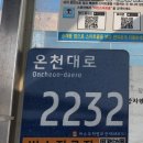 봉강교정류장 이미지