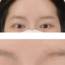 펄미에이트 이미지
