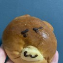 쿠마카츠 티스토리
