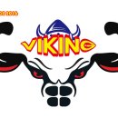 바이킹짐 이미지
