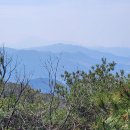 곡성-168 이미지