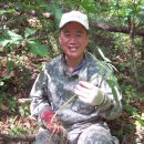 산삼약초 - 강릉시 강릉대로457번길 21 | 산삼약초